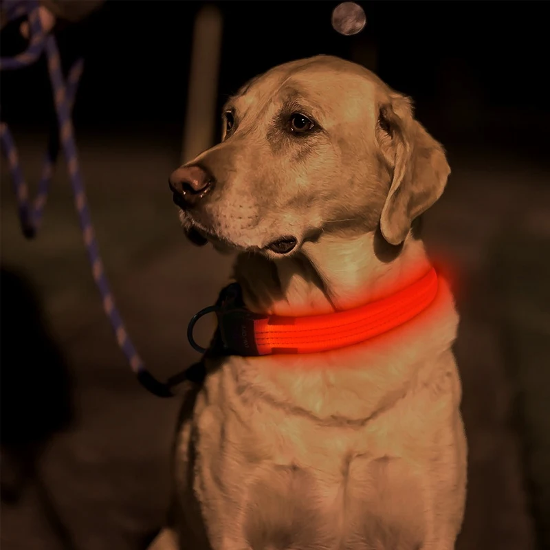 Сетчатый нейлоновый ошейник и поводок для собак щенков светоотражающий черный