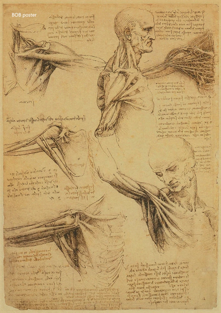 Leonardo рукопись да Винчи-витрувиан человек ностальгические плакаты декоративная Ретро картина ядро крафт-бумага ВИНТАЖНЫЙ ПЛАКАТ - Цвет: P062