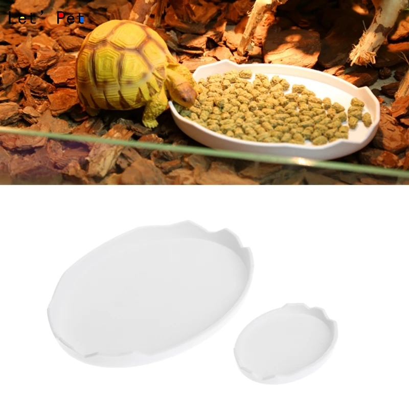 

Pet Tortoise Snake Reptile Terrarium Drinking Food Water Bowl Dish Feeder Tool