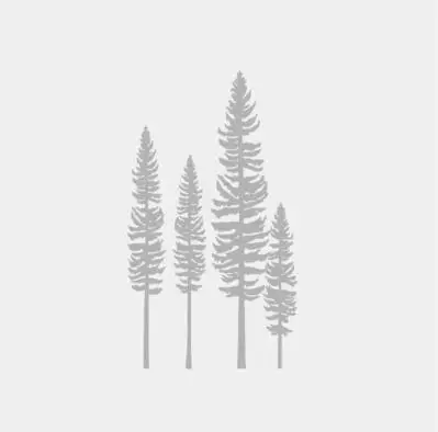 lightgray pine Скандинавский лес береза Наклейка на стену с оленем Детские огромные наклейки на стену детская виниловая наклейка на стену фреска домашний декор B81 - Цвет: lightgray pine