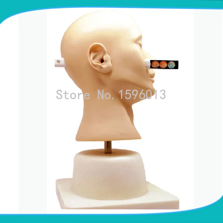 Усовершенствованный ушной диагностический симулятор модель диагностики