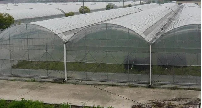 Тонкий 2 м X 2 м 60% прозрачный наружный чехол, Водонепроницаемый брезент, прозрачный непромокаемый брезент. Теплица пластиковый материал