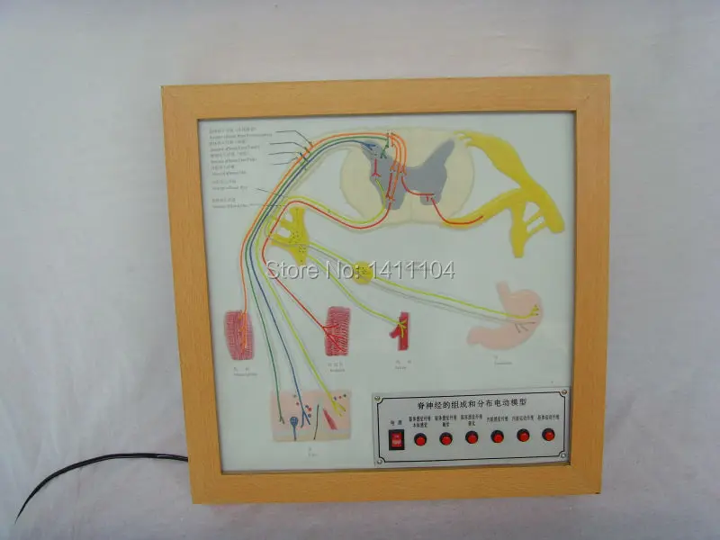 Бесплатная доставка составление и распределение электрической модели