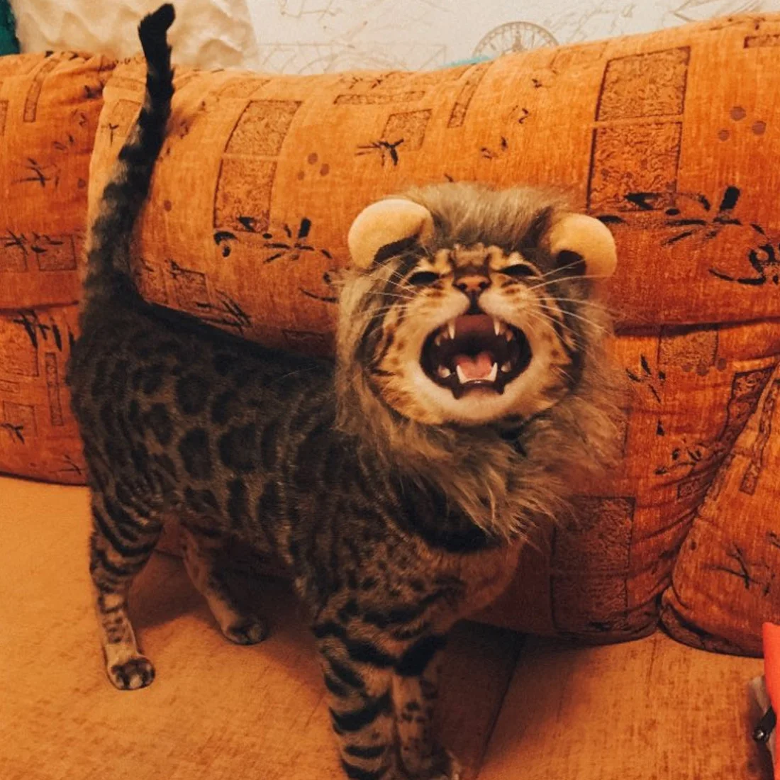 Забавный костюм для домашних животных Косплей льва грива парик шапка кошки