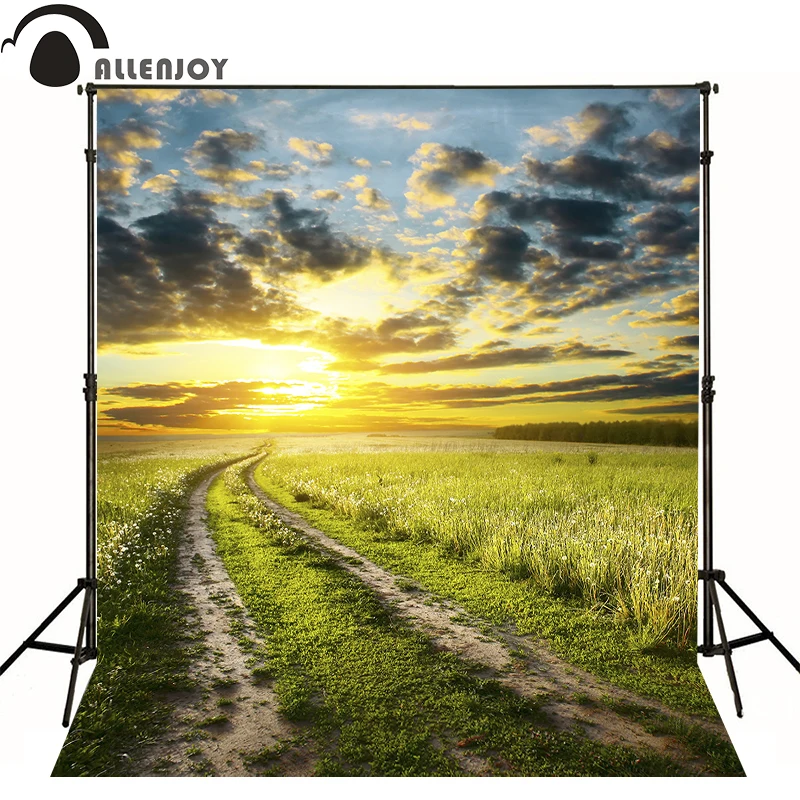 Allenjoy Профессиональный фон для фотосъемки трава небо облака солнце новорожденный