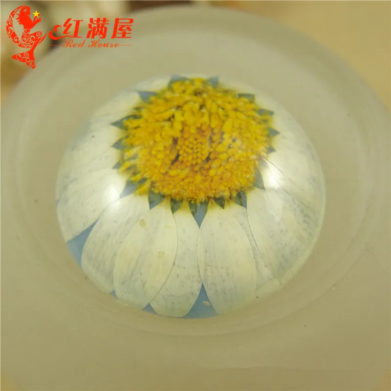 10pcs 25MM Real daisy dry flower resin cabochon round dried flatback floral scrapbooking jewelry making handmade | Украшения и