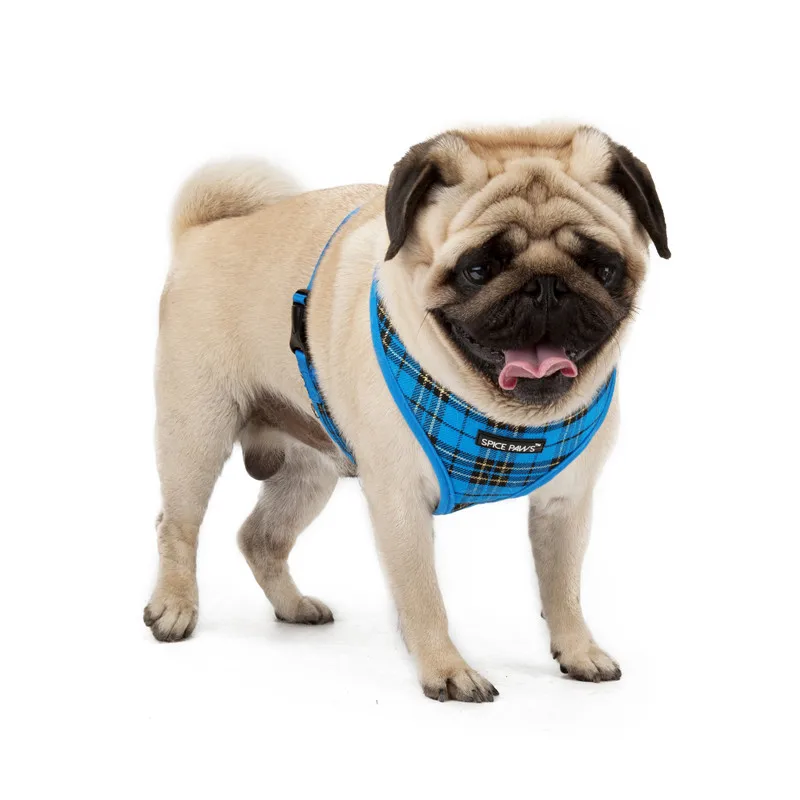 Шлейка жилет для маленьких домашних питомцев из нейлона с сетчатой подкладкой|dog