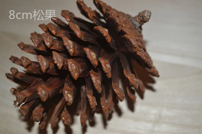 Натуральные сосновые конусы 8 см большие размеры декоративные фотообои цветы