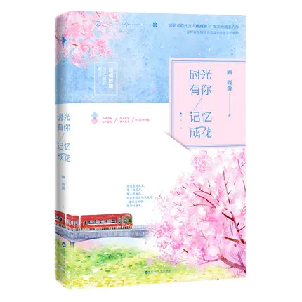 Популярные китайские романы wo Ши гуанг ты ни Цзи Йи Чэн Хуа (китайская версия) для