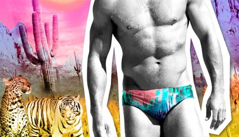 Swimming Men Beach Pool Sexy Swimsuit Hot Swim Trunks Speedo Swimwear Man Low Waisted Boy Swimming Wear Print Animal Birds Swim