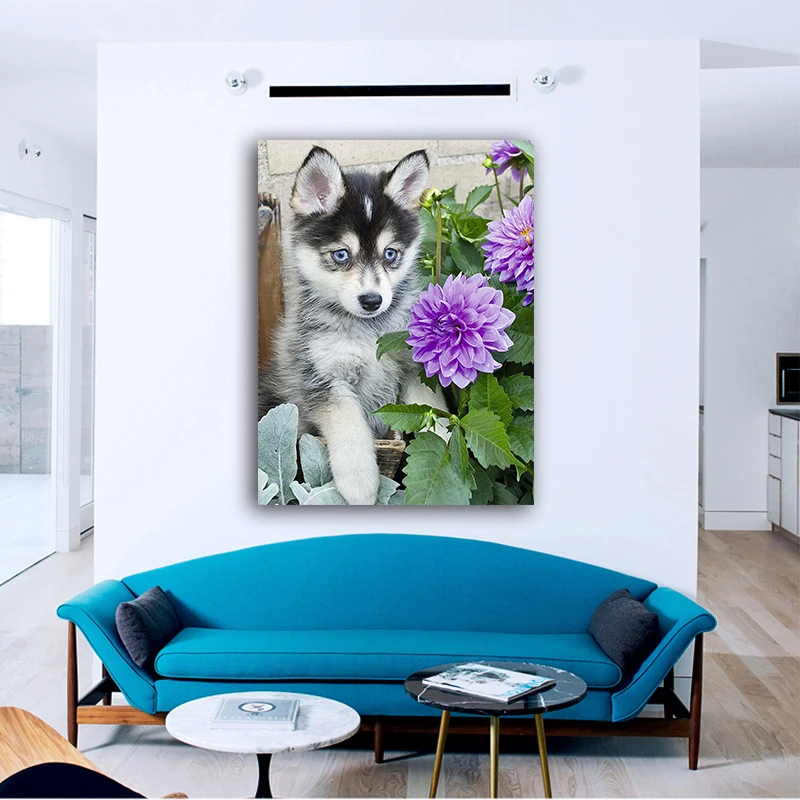 DIY картинки для раскраски по номерам с Хаски фото рисунок рельеф живописи защелка