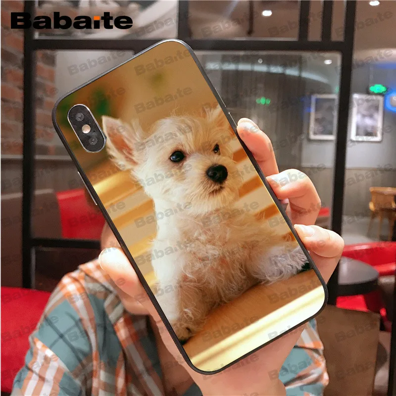 Цветной милый чехол для iphone 11pro max Westie dog 8 7 6 6S Plus X XS MAX 5 5S SE XR Cover Babaite | Мобильные