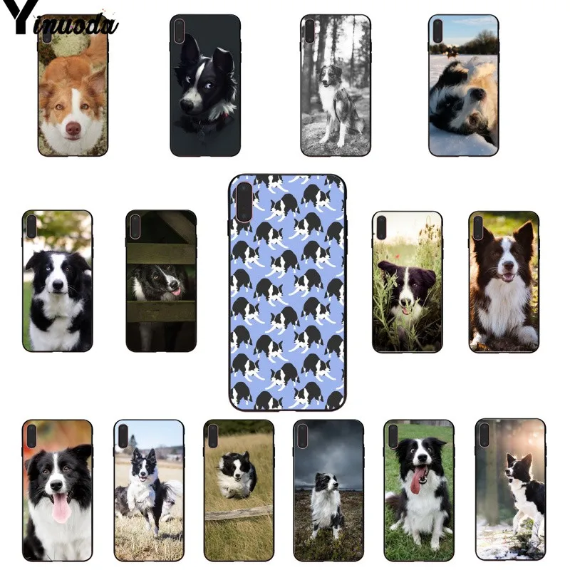 Yinuoda милый Border collie Dog Новый чехол для телефона Fundas Apple iPhone 8 7 6 6S Plus X XS MAX 5 5S SE XR