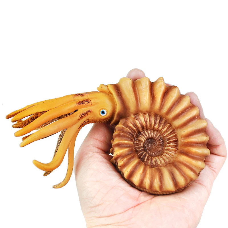 Модель игрушечного животного Wiben Sea Life игрушка Nautilus Фигурки игрушек обучающие и