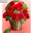 5D DIY алмазная живопись 