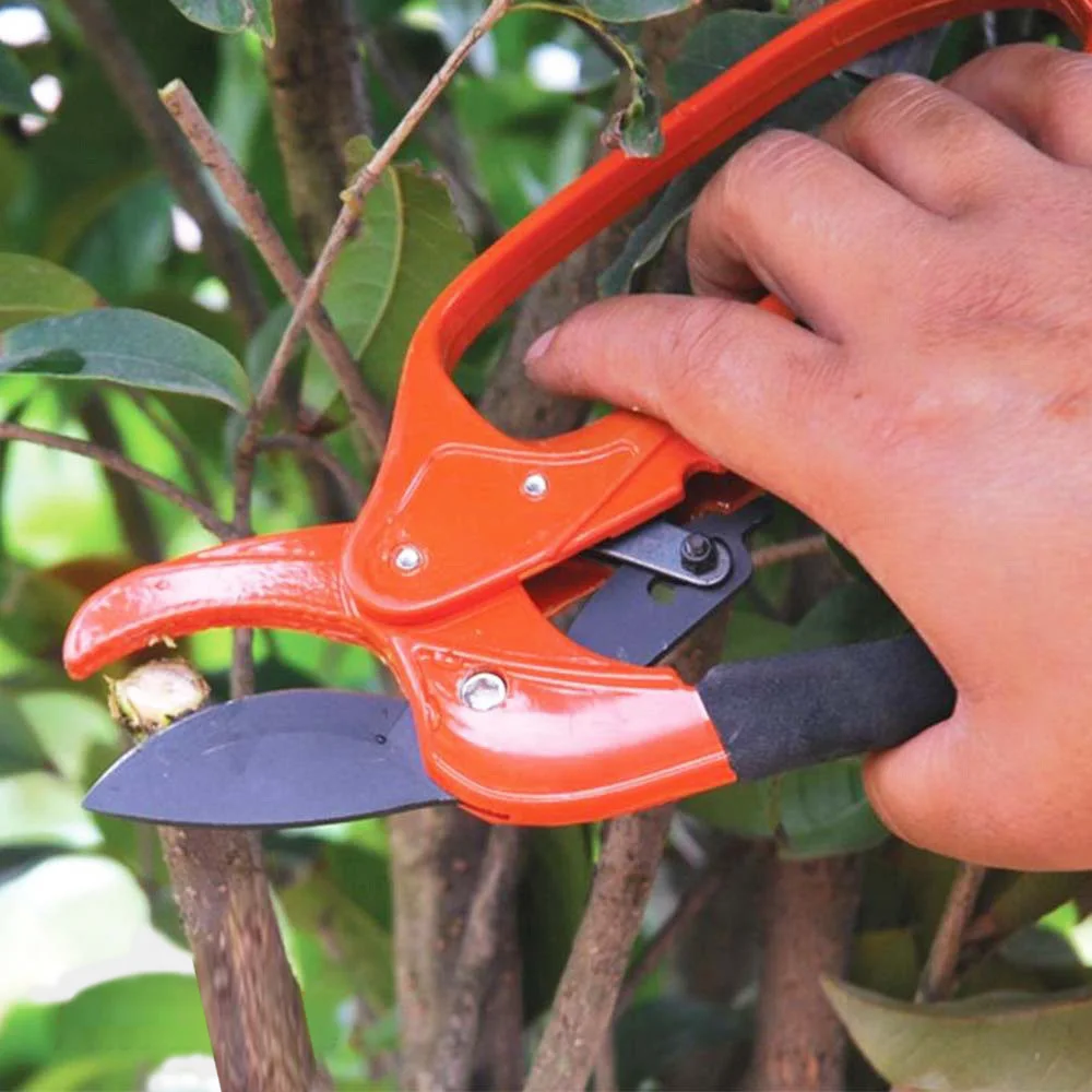 Garden Repair Tools Ratchet Pruning Shear 3-Stage Action Scissor 8 inch AD1021 | Инструменты