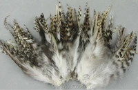 200pcslot4 6 10 15cm loose natural chinchilla rooster saddles feathers for art millinery craft rooster grizzly trim