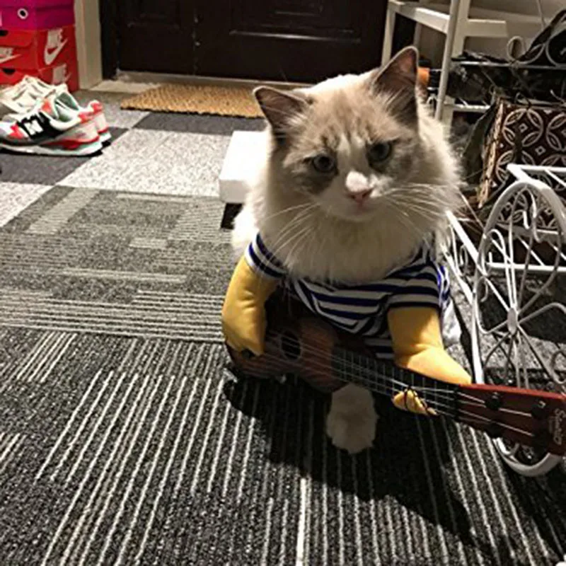 Костюм для собаки милая одежда щенка играющего на гитаре певицы костюм маленьких