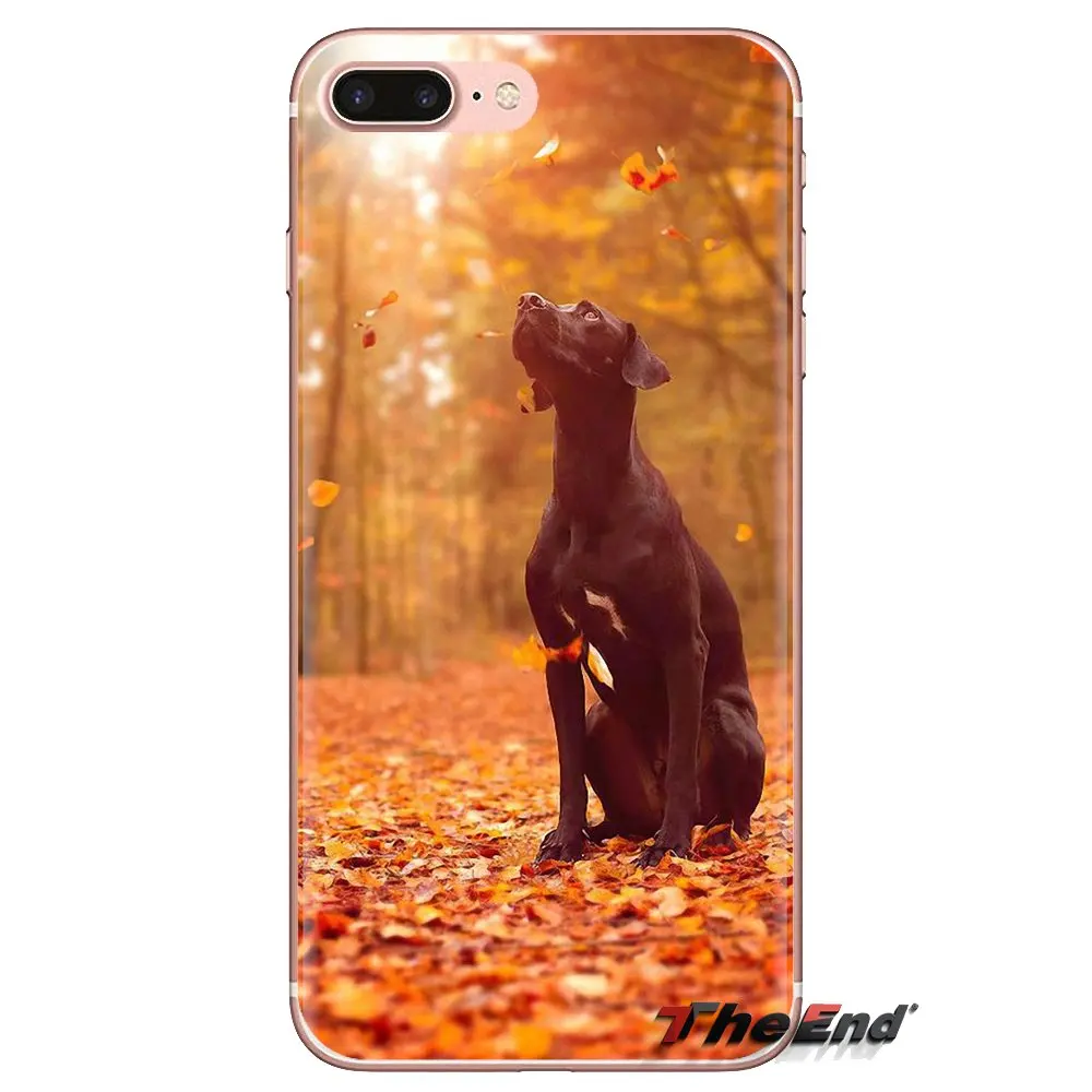 Мягкий прозрачный чехол для Xiaomi Redmi 4A S2 Note 3 3S 4 4X5 Plus 6 7 6A Pro Pocophone F1 Rhodesian Ridgeback Dog |