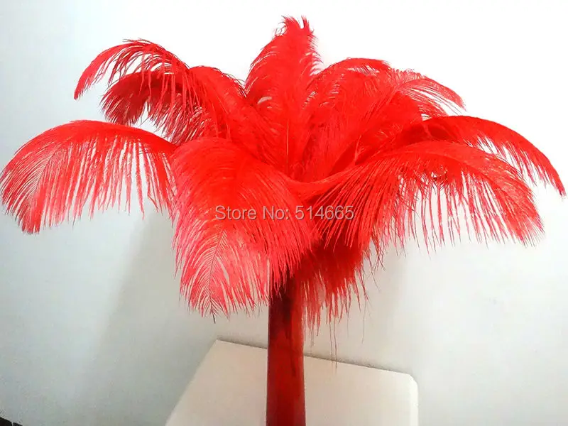 Страусиное перо 20 шт./лот 10 цветов 18 дюймов 45 50 см|ostrich feather|ostrich plumesfeather assortment |