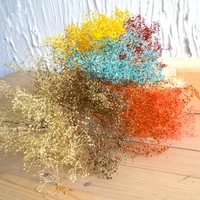 dried flowers mantianxing bountyless home decoration props diy model material handmade