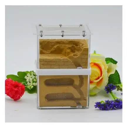 Plaster Ant Nest Acrylic Ant Farm Ants Queen House Insect Cage Anthills Pet Ant Castle Granja De Hormigas Hormiguero