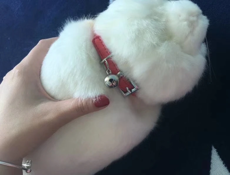 Модный креативный кошелек в форме кошки с мультяшным рисунком сумка мессенджер
