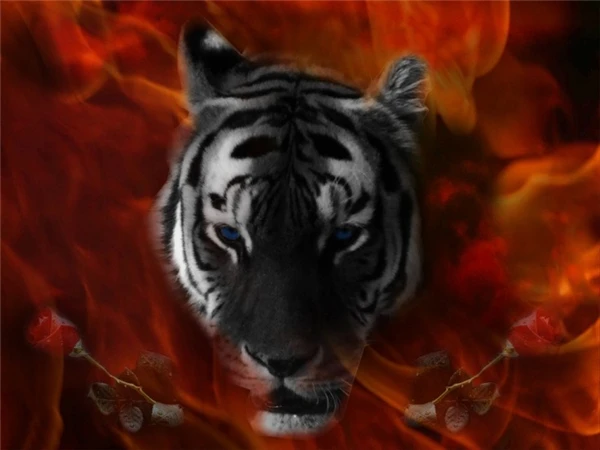 Diamond Embroidery needlework diy painting Cross Stitch Kit animal tiger full round diamond mosaic Room Decor yx2115 | Дом и сад