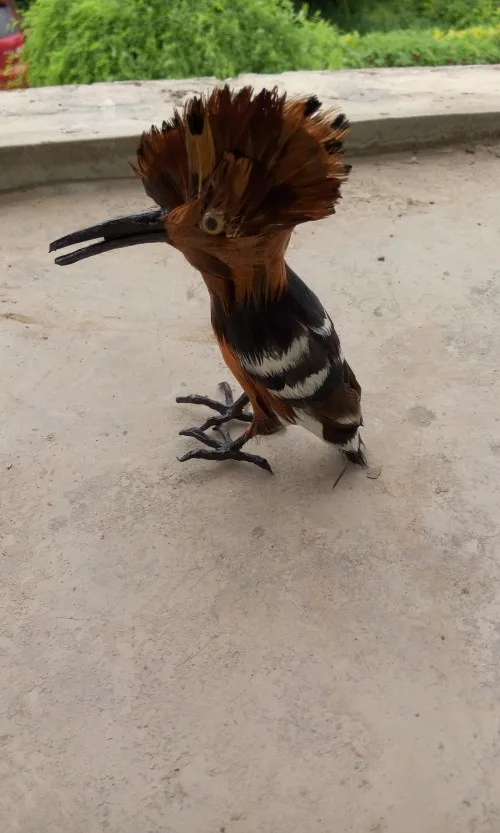 

15x13cm Hoopoe bird hard model toy,polyethylene&furs feathers bird craft,prop,home decoration 1632