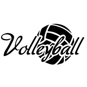 17,9 см * 8 см волейбольная Спортивная модная Автомобильная Стилизация мотоциклетная Автомобильная Наклейка Виниловая наклейка