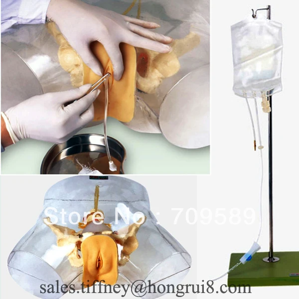 Усовершенствованная Прозрачная женская мочевая Катетеризация|female urethral