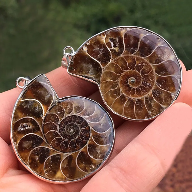 

6pcs Silver Plated Metal Wrapped Natural Ammonite stone Opened Pendants Beads