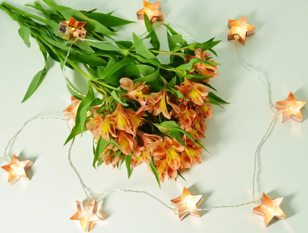 Гирлянда с 20 медными звездами на батарейках для печенья светодиодная