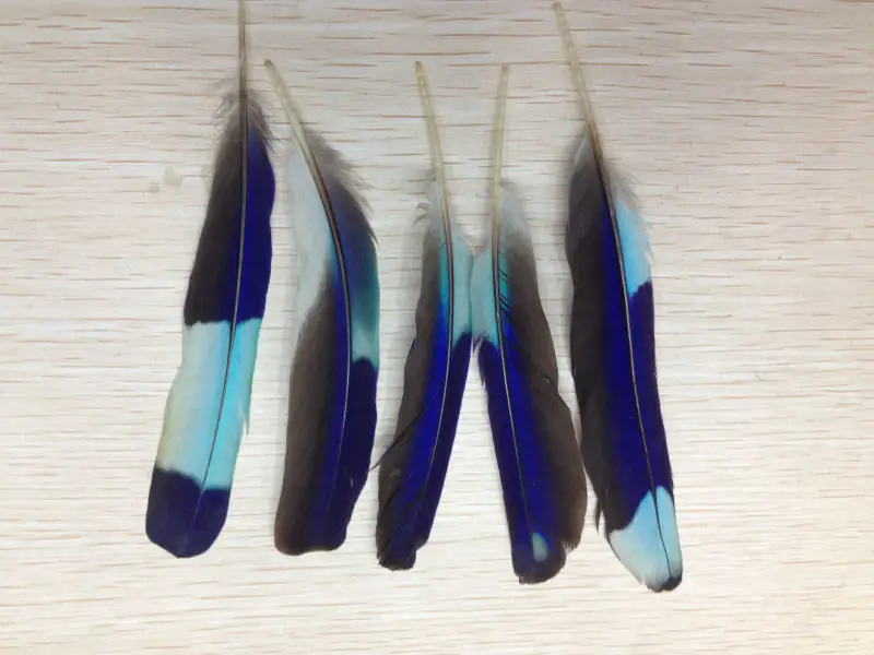 Оптом бесплатная доставка высококачественные Редкие 50 шт. натуральные перышки