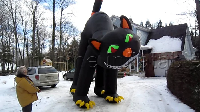 20 футов хорошее качество прекрасный анимированный гигантский надувной Черный
