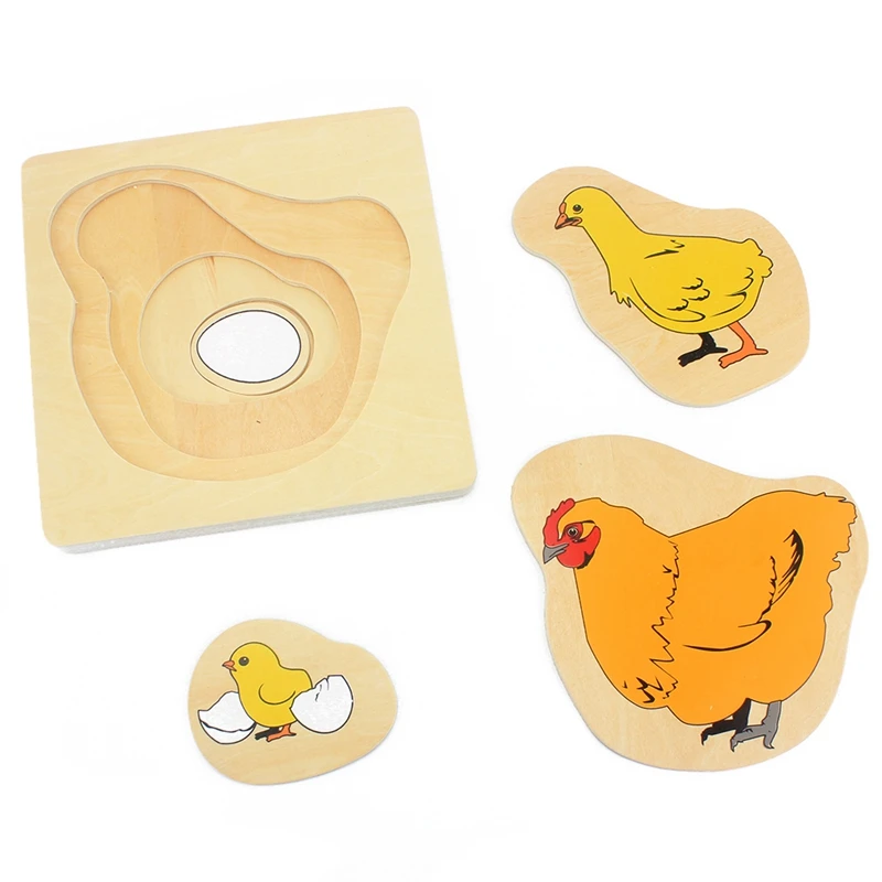 

Toddlers Montessori Materials Wooden Toys Science Toys Life Cycle of Hen Egg Hatching Grow Up Puzzles Jingsaw Preschool Infant