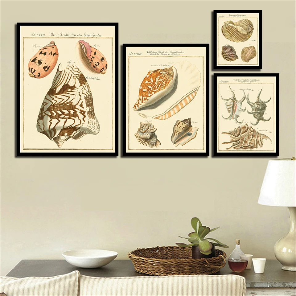 Постер в скандинавском стиле с принтом изящных ракушек пейзаж картины для
