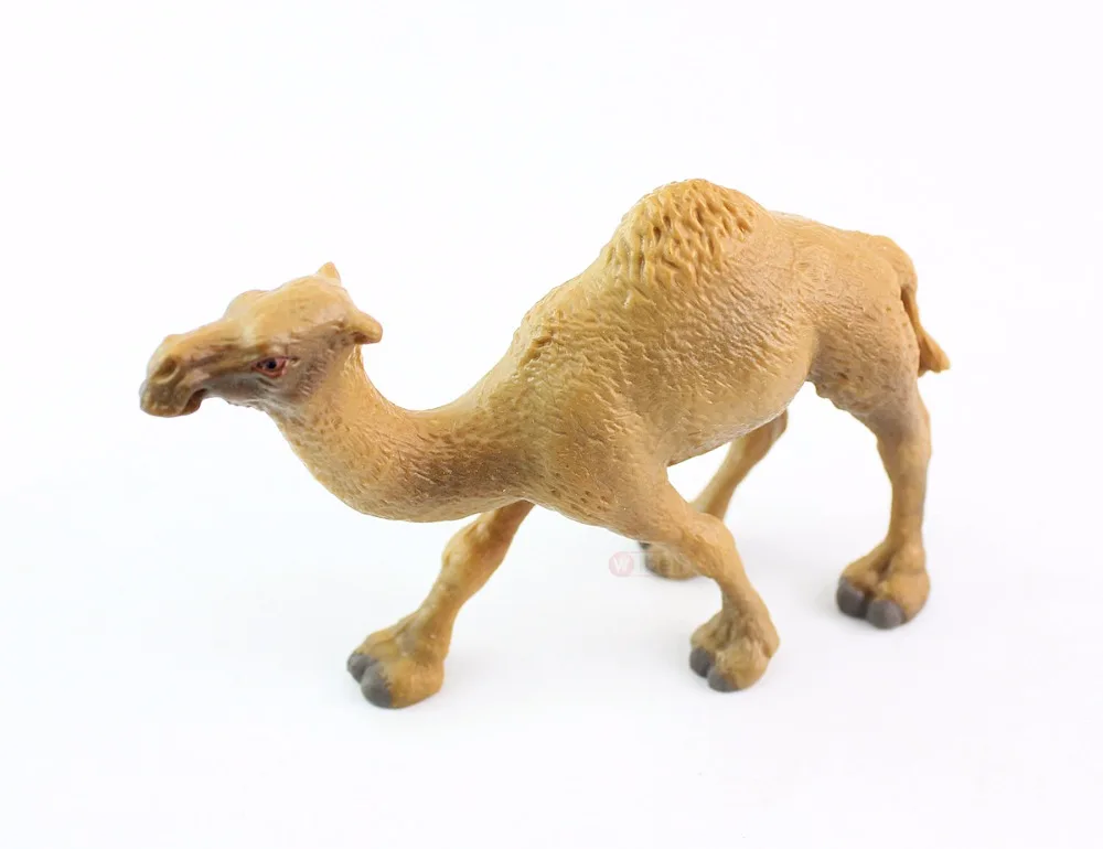 Wiben Camel сафари дикое сафари дикая природа дромедари Модель Коллекция для детей Детские игрушки Подарки на день рождения