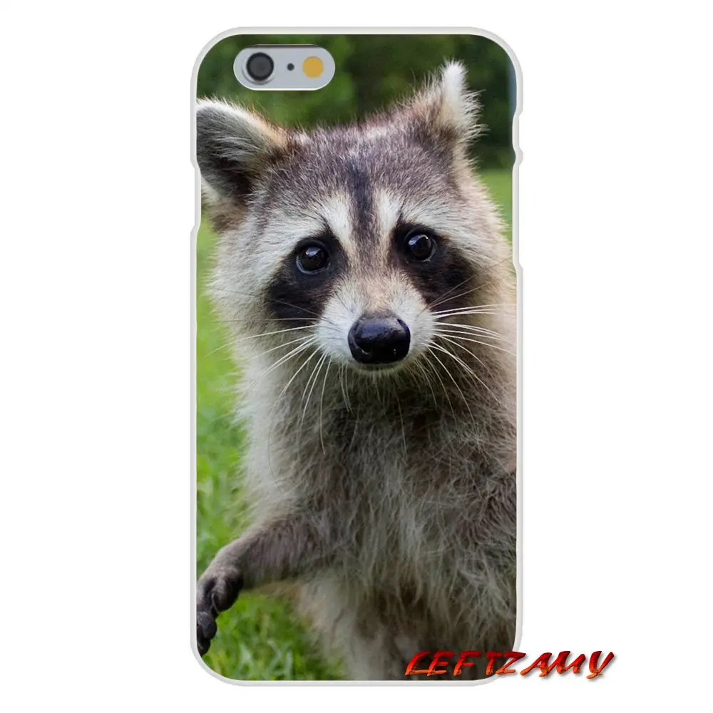 Аксессуары чехлы для телефонов Kawaii Baby Raccoons iPhone X XR XS MAX 4 4s 5 5S 5C SE 6 S 7 8