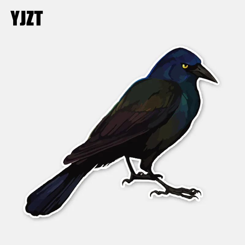 

YJZT 15.6*13.7CM Mysterious Crow Car Sticker Decor High Quality Personalized Graphic 11A0388