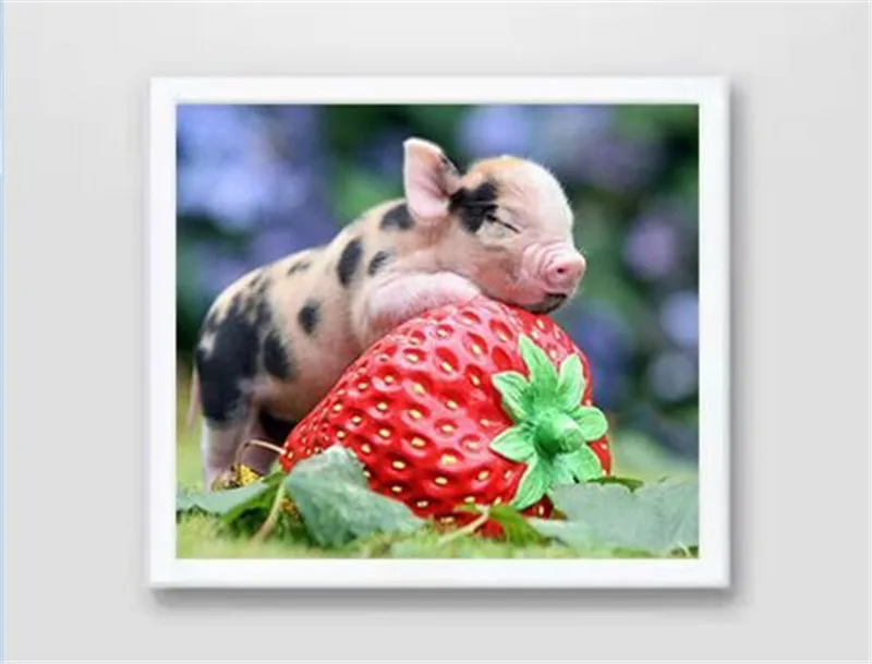 Вышивка 5D сделай сам алмазная живопись вышивка крестом поросёнок с клубничкой