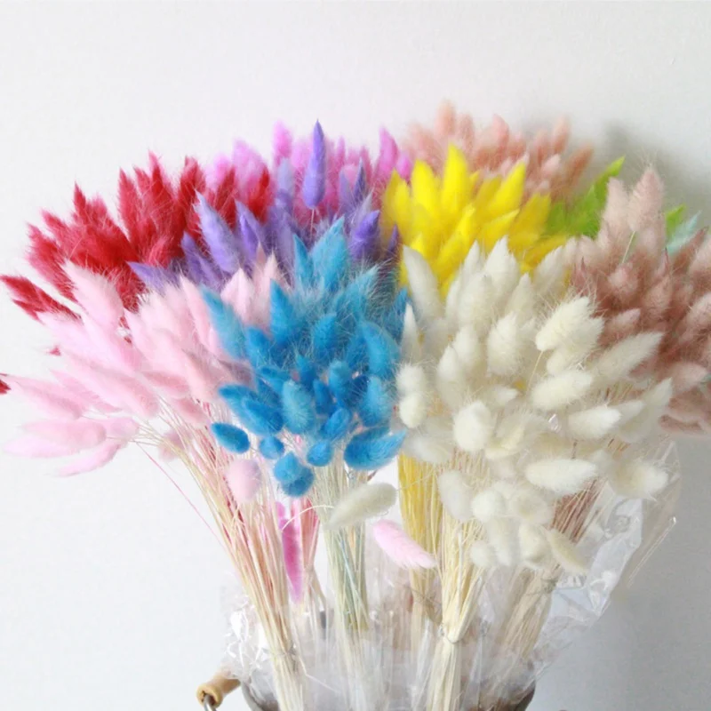 30 шт./лот натуральный сушеный цветок красочный лагурус оватус настоящий букет
