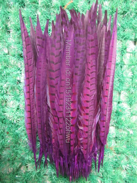 

Wholesale 100 pcs beautiful Rose Pheasant Feather 14-16 inches 35-40 cm free shipping