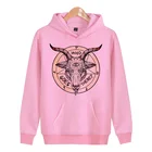 Мужская толстовка с капюшоном baphomet, теплая зимняя толстовка с капюшоном, X4037