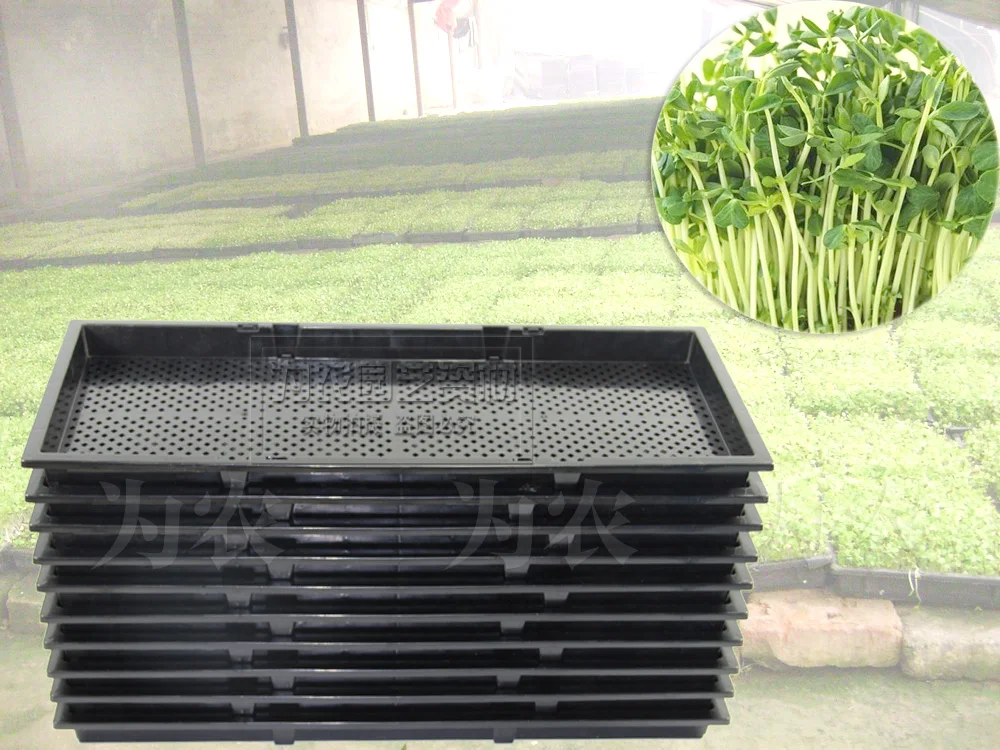 Двухслойный росток для рассады толстый горшок для культуры Pinet лоток Питание чаша для культуры лоток 56*24*3 см