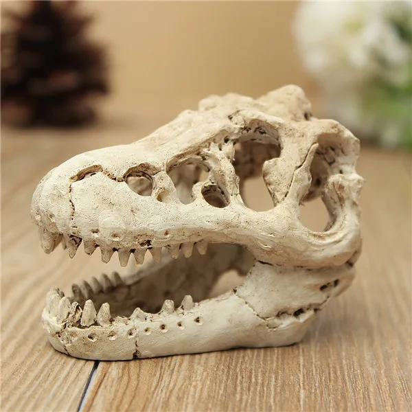 Aquarium Terrarium Decoration Crocodile Skull for Fish Tank Resin Ornament Intravital skull lizard scorpion box | Дом и сад