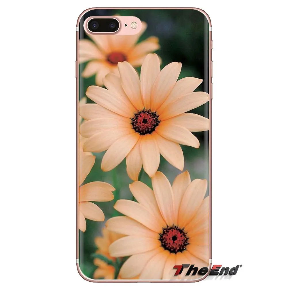 Purple Osteospermum Akila Mix For LG Spirit Motorola Moto X4 E4 E5 G5 G5S G6 Z Z2 Z3 G2 G3 C Play Plus Mini Silicone Phone Cover |