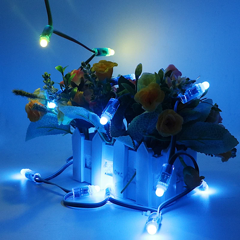 

SZYOUMY 3000 Pcs 12mm Digital Led WS2811 Pixel Module DC 5V Full Color Round Shape Waterproof String Light Fast Ship