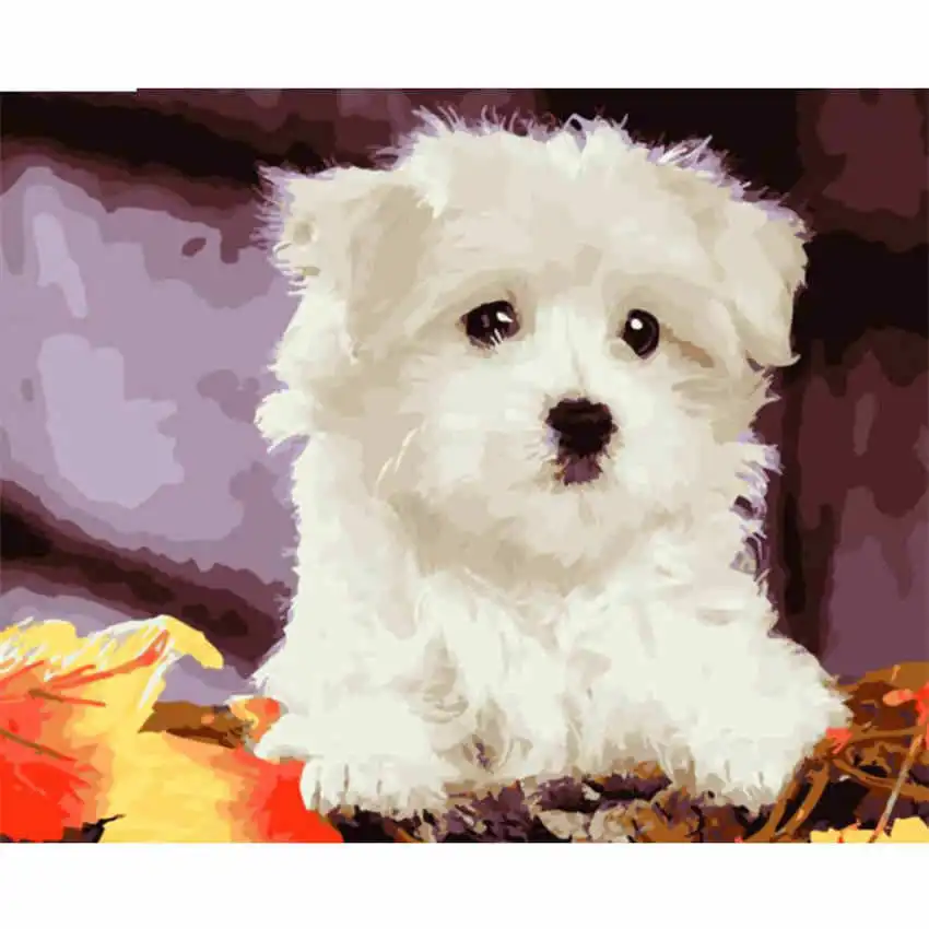 dog painting 5 Diy картина по номерам, Мак, Раскраска по номерам, красочный Кот Раскраска по номерам - Цвет: dog painting 5