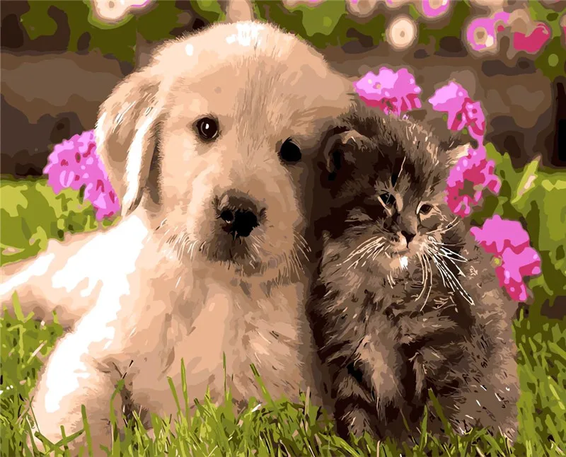 Милый щенок собака на картины с рисунком трав подарок для детей цифровая картина